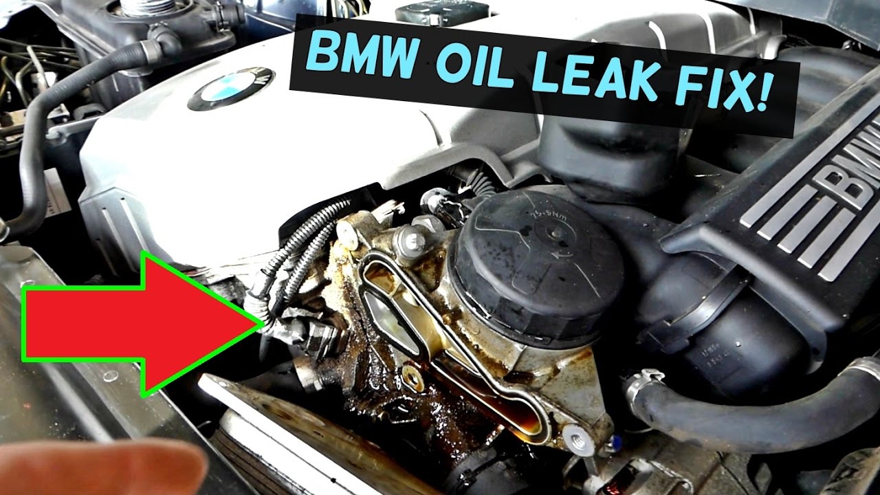See P203A repair manual